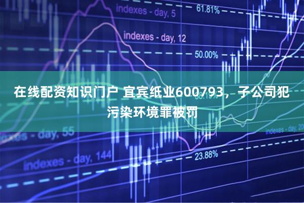 在线配资知识门户 宜宾纸业600793，子公司犯污染环境罪被罚