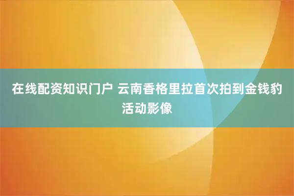 在线配资知识门户 云南香格里拉首次拍到金钱豹活动影像